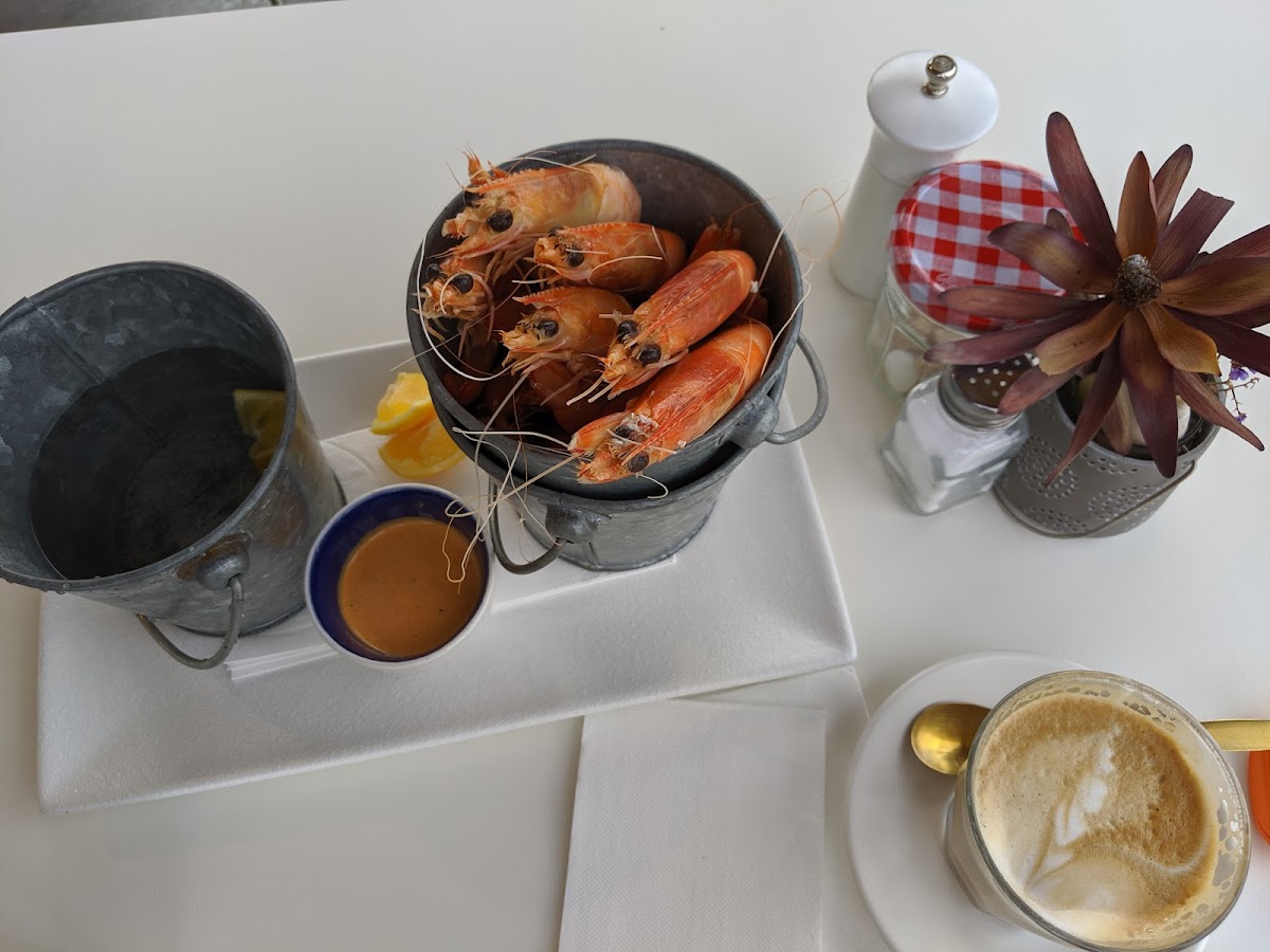 Marion Storm
