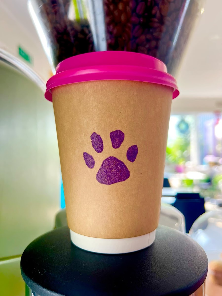 Grounded Paws Cat Cafe