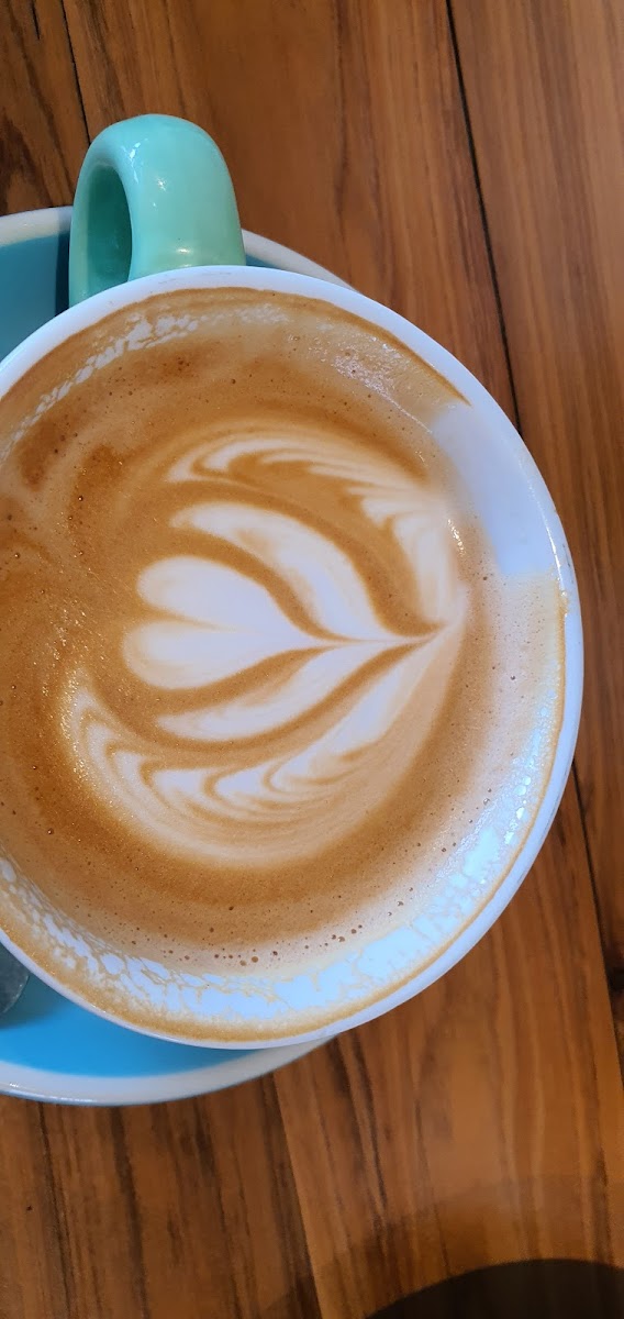 Papercup Coffee Tugun