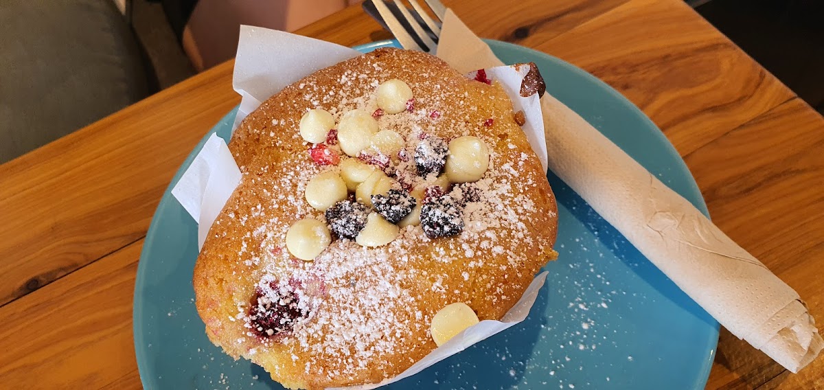 Papercup Coffee Tugun