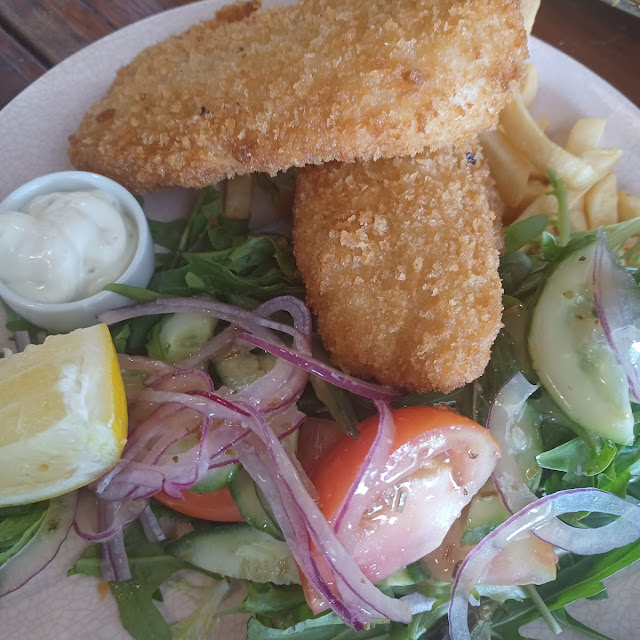 Fish Chips and Salad