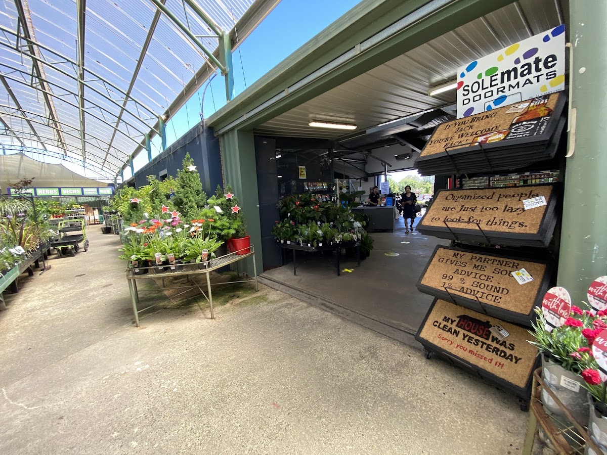 Peards Albury